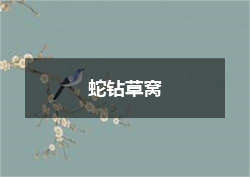 蛇钻草窝