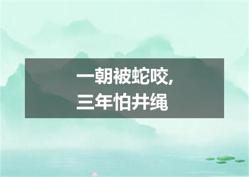 一朝被蛇咬,三年怕井绳