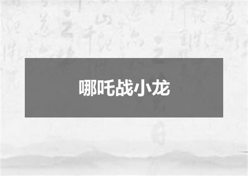 哪吒战小龙