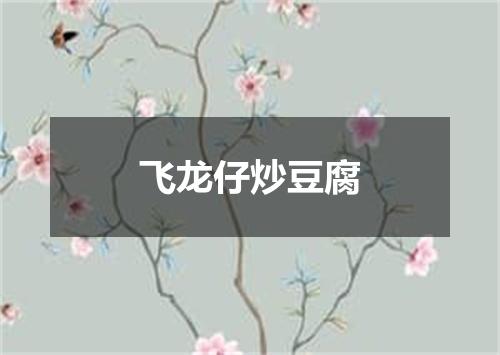 飞龙仔炒豆腐