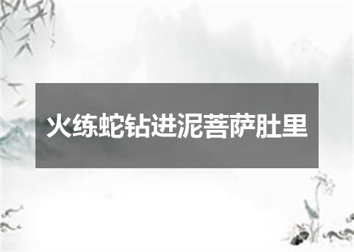 火练蛇钻进泥菩萨肚里