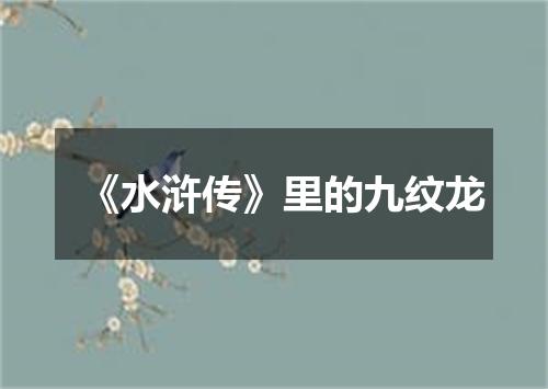《水浒传》里的九纹龙