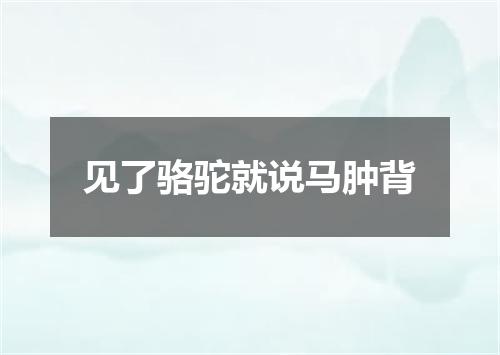 见了骆驼就说马肿背