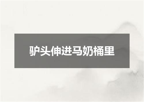 驴头伸进马奶桶里