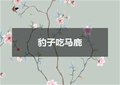 豹子吃马鹿