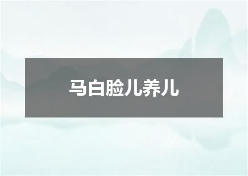 马白脸儿养儿