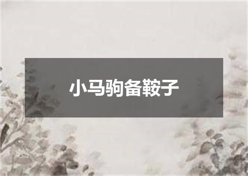 小马驹备鞍子