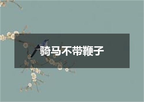 骑马不带鞭子