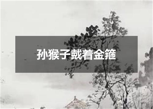 孙猴子戴着金箍