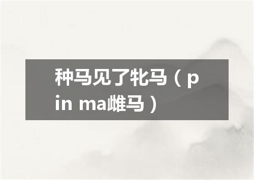 种马见了牝马（pin ma雌马）