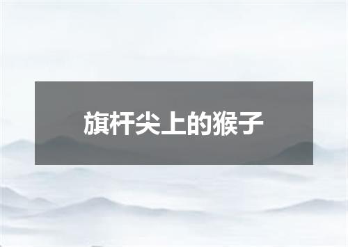旗杆尖上的猴子