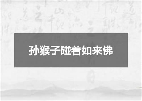 孙猴子碰着如来佛