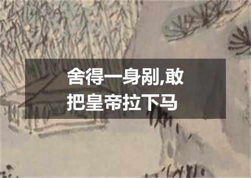 舍得一身剐,敢把皇帝拉下马