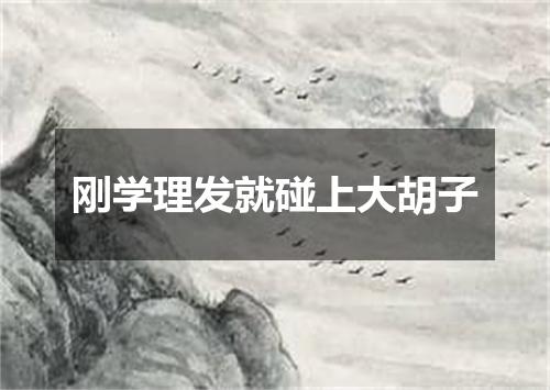 刚学理发就碰上大胡子