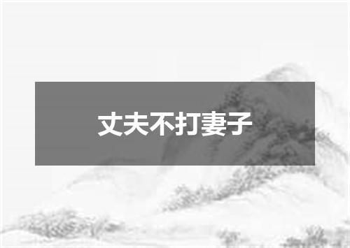 丈夫不打妻子