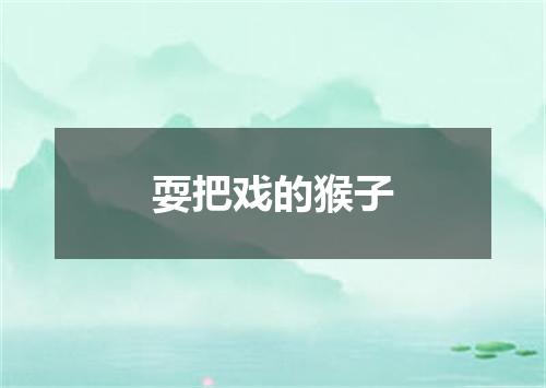 耍把戏的猴子