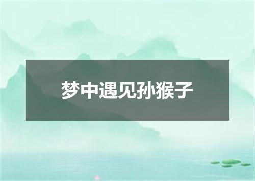 梦中遇见孙猴子