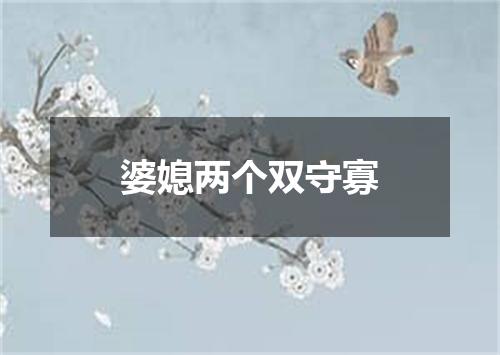 婆媳两个双守寡