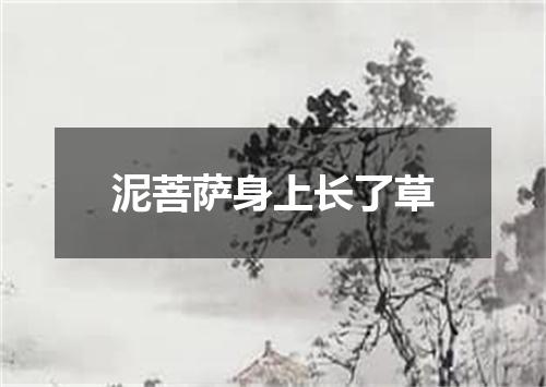 泥菩萨身上长了草