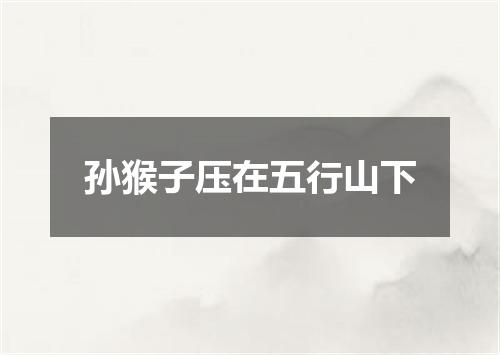 孙猴子压在五行山下