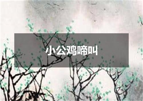 小公鸡啼叫