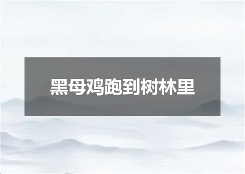 黑母鸡跑到树林里