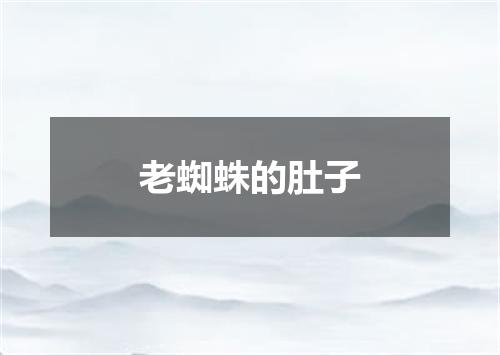 老蜘蛛的肚子
