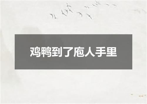 鸡鸭到了庖人手里