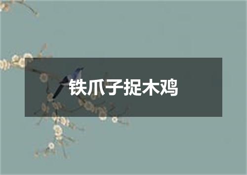 铁爪子捉木鸡