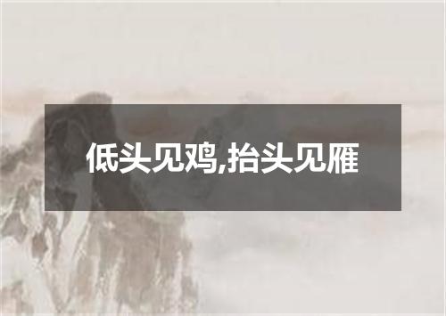 低头见鸡,抬头见雁