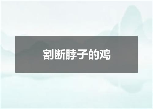 割断脖子的鸡