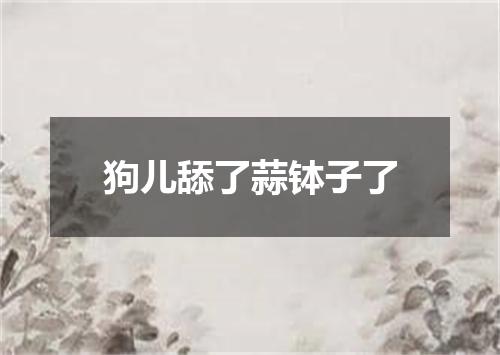 狗儿舔了蒜钵子了