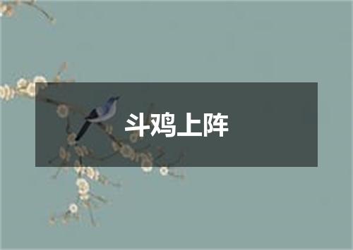 斗鸡上阵
