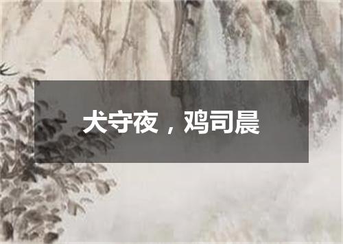 犬守夜，鸡司晨