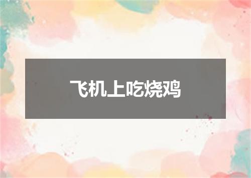 飞机上吃烧鸡