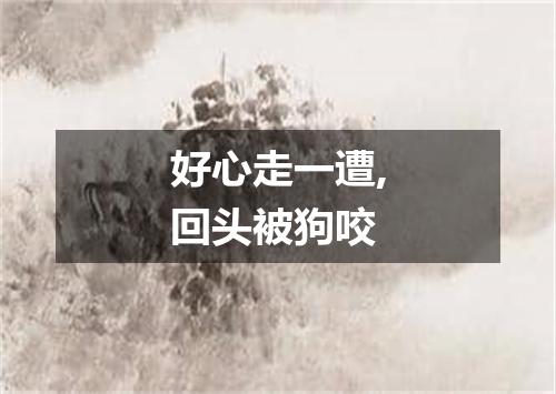 好心走一遭,回头被狗咬