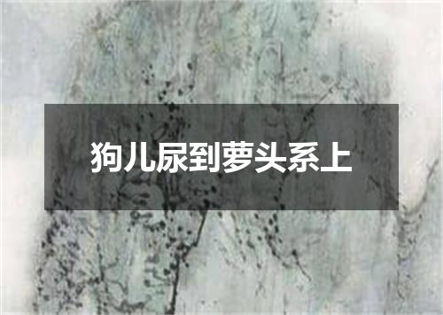 狗儿尿到萝头系上