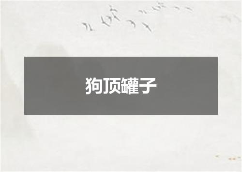 狗顶罐子
