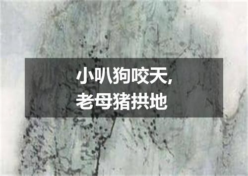 小叭狗咬天,老母猪拱地