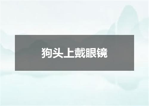 狗头上戴眼镜