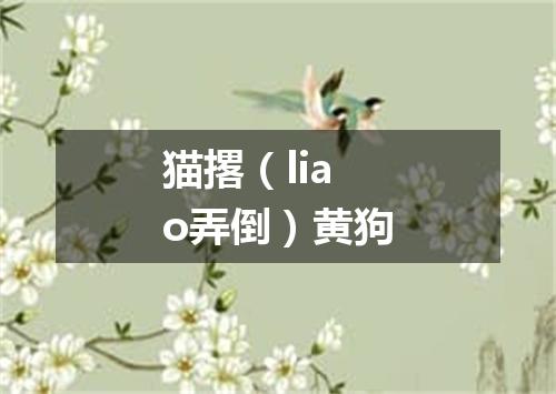猫撂（liao弄倒）黄狗