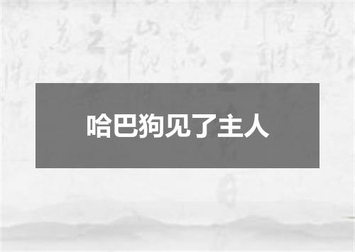 哈巴狗见了主人