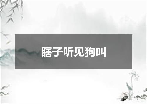 瞎子听见狗叫