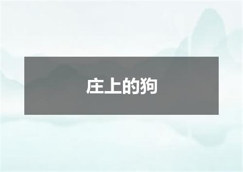 庄上的狗
