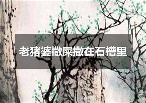 老猪婆撒屎撒在石槽里