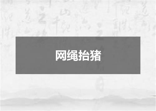 网绳抬猪