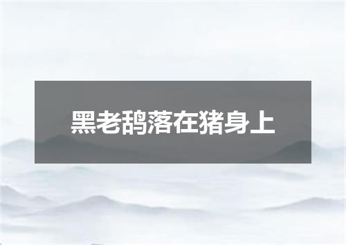黑老鸹落在猪身上