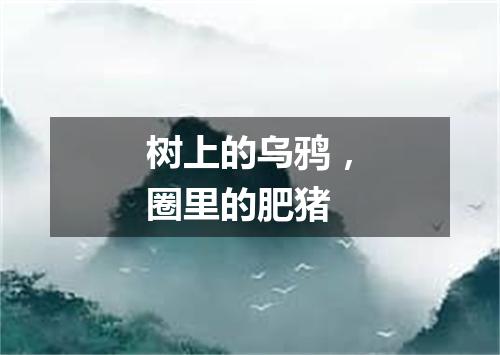 树上的乌鸦，圈里的肥猪