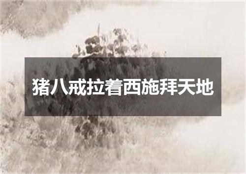 猪八戒拉着西施拜天地
