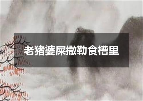 老猪婆屎撒勒食槽里